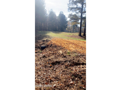 This Property is made of 146+/- acres. It is a beautiful - photo 29