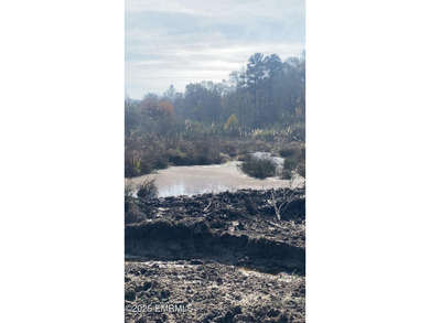 This Property is made of 146+/- acres. It is a beautiful - photo 31