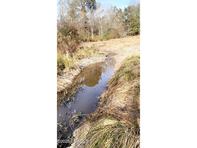This Property is made of 146+/- acres. It is a beautiful - photo 34