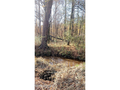 This Property is made of 146+/- acres. It is a beautiful - photo 35