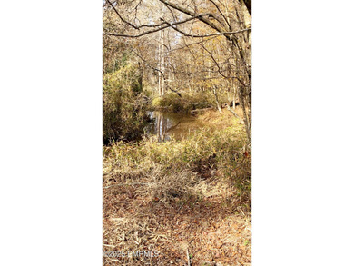 This Property is made of 146+/- acres. It is a beautiful - photo 36