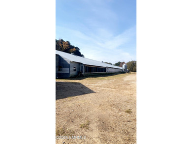 This Property is made of 146+/- acres. It is a beautiful - photo 37