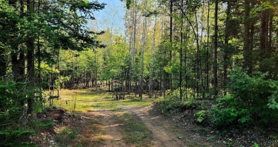 Lake Acreage For Sale in Minocqua, Wisconsin