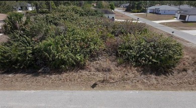 Are you ready to build your dream home? This lot has a lot to - photo 1
