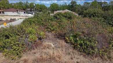 Are you ready to build your dream home? This lot has a lot to - photo 3