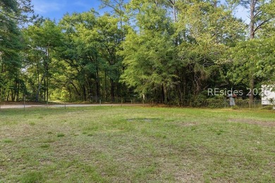 A prepared 1-acre homesite in Beaufort with septic, well, and - photo 4