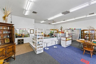 A rare opportunity! Well located commercial property on Main - photo 5