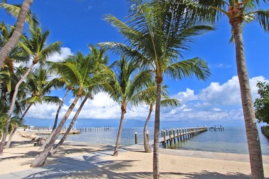 Open Oceanfront Estate with Deep Water Dockage on 1.5 Acres on - photo 2