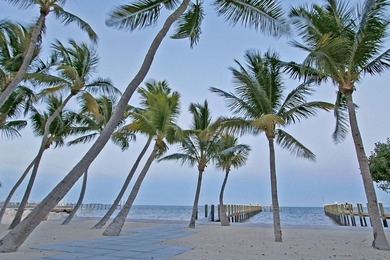 Open Oceanfront Estate with Deep Water Dockage on 1.5 Acres on - photo 7