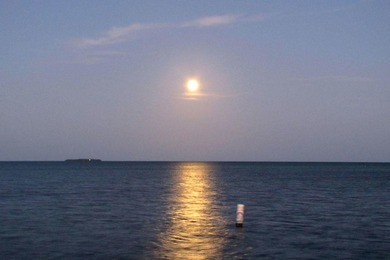 Open Oceanfront Estate with Deep Water Dockage on 1.5 Acres on - photo 8