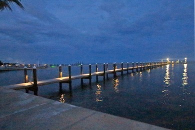 Open Oceanfront Estate with Deep Water Dockage on 1.5 Acres on - photo 10