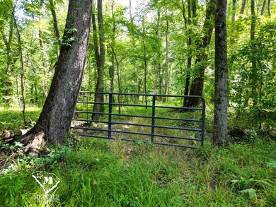 70.11 Acres | Professionally Managed Pine Plantation | Union - photo 15