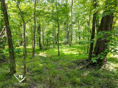 70.11 Acres | Professionally Managed Pine Plantation | Union - photo 16