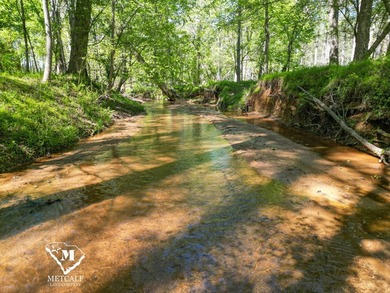 70.11 Acres | Professionally Managed Pine Plantation | Union - photo 17