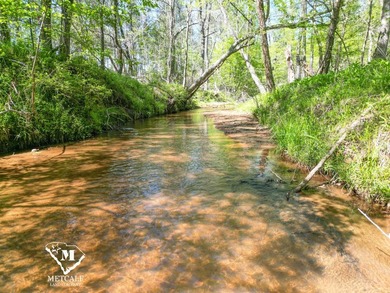 70.11 Acres | Professionally Managed Pine Plantation | Union - photo 18