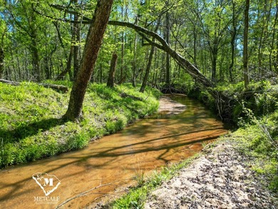 70.11 Acres | Professionally Managed Pine Plantation | Union - photo 19
