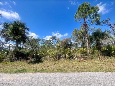 Port Charlotte Waterway Lakes Area Lot For Sale in Port Charlotte Florida