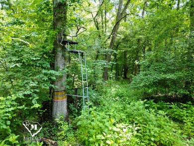 70.11 Acres | Professionally Managed Pine Plantation | Union - photo 23
