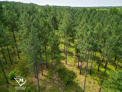 70.11 Acres | Professionally Managed Pine Plantation | Union - photo 25