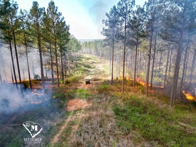 70.11 Acres | Professionally Managed Pine Plantation | Union - photo 26
