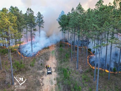 70.11 Acres | Professionally Managed Pine Plantation | Union - photo 28