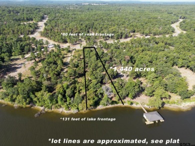 Lake Lot For Sale in Larue, Texas