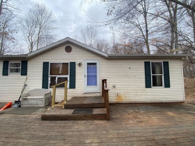 Wilkinson Lake Home Sale Pending in Delton Michigan
