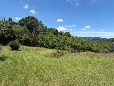 8.5 +/- acres of rural land with abundant wildlife and plenty of - photo 4