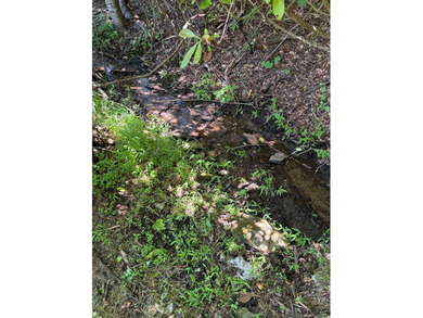 8.5 +/- acres of rural land with abundant wildlife and plenty of - photo 6