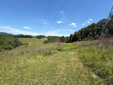 8.5 +/- acres of rural land with abundant wildlife and plenty of - photo 9