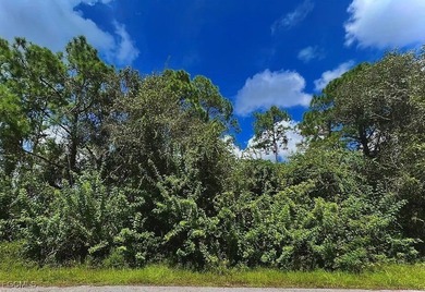 Lehigh Acres Area Lot For Sale in Lehigh Acres Florida