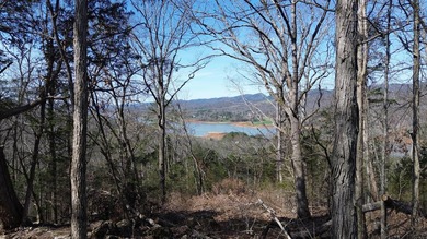 Cherokee Lake Lot For Sale in Bean Station Tennessee