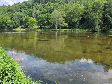 Enjoy river life in the Blue Ridge Mountains with this nice - photo 1