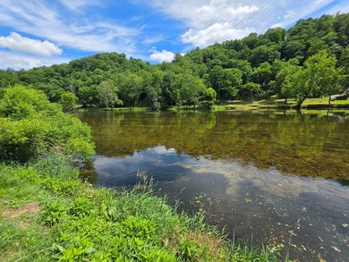Enjoy river life in the Blue Ridge Mountains with this nice - photo 5