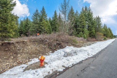 Lake Lot For Sale in Spirit Lake, Idaho