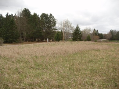 Lake Lot For Sale in Park Falls, Wisconsin