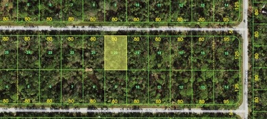 Port Charlotte Waterway Area Lot For Sale in Port Charlotte Florida