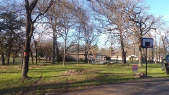 Cedar Creek Lake Lot For Sale in Enchanted Oaks Texas