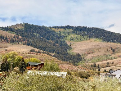 Beautiful one acre building lot in Bear Lake just over the Idaho - photo 3