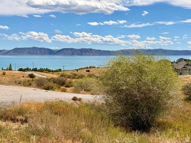 Beautiful one acre building lot in Bear Lake just over the Idaho - photo 8