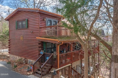 Exceptional Short-Term Rental Opportunity at Douglas Lake - photo 2