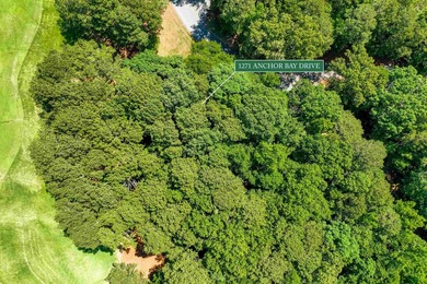 Nice .67-acre GOLF COURSE LOT situated on the par 5 hole #16 of - photo 13