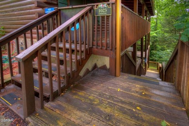 Exceptional Short-Term Rental Opportunity at Douglas Lake - photo 7