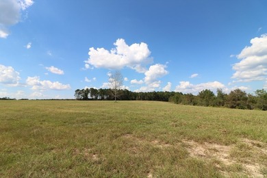 One of the most unique, beautiful properties around!! Private - photo 18