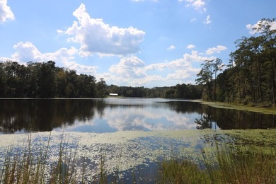 One of the most unique, beautiful properties around!! Private - photo 20