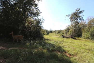 One of the most unique, beautiful properties around!! Private - photo 22