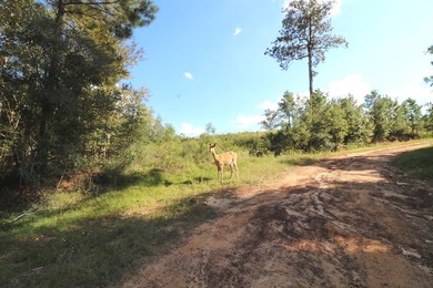 One of the most unique, beautiful properties around!! Private - photo 23