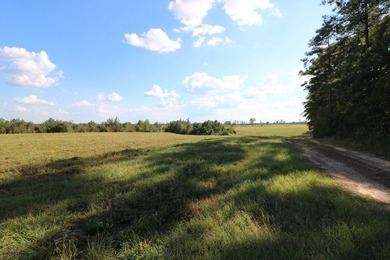 One of the most unique, beautiful properties around!! Private - photo 25
