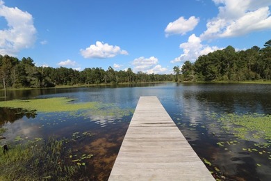 One of the most unique, beautiful properties around!! Private - photo 27