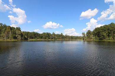 One of the most unique, beautiful properties around!! Private - photo 28